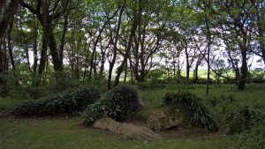 Lost Heligan Gardens - Mud Maid