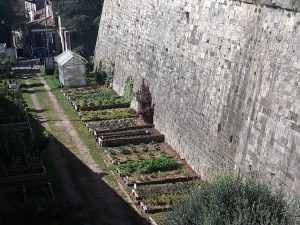 mura di Bergamo - orti