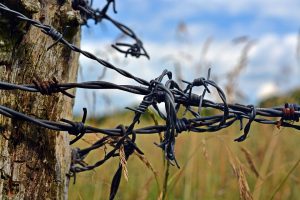 barbed-wire-1506549_960_720