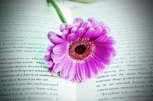 libro con fiore
