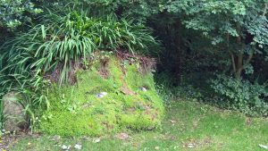 Lost Gardens of Heligan - giant s head