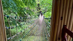Lost Gardens Of Heligan - ponte tibetano Burma rope bridge