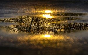 water-puddle-2975541__340