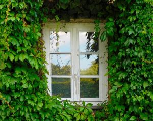 window-1679344__340